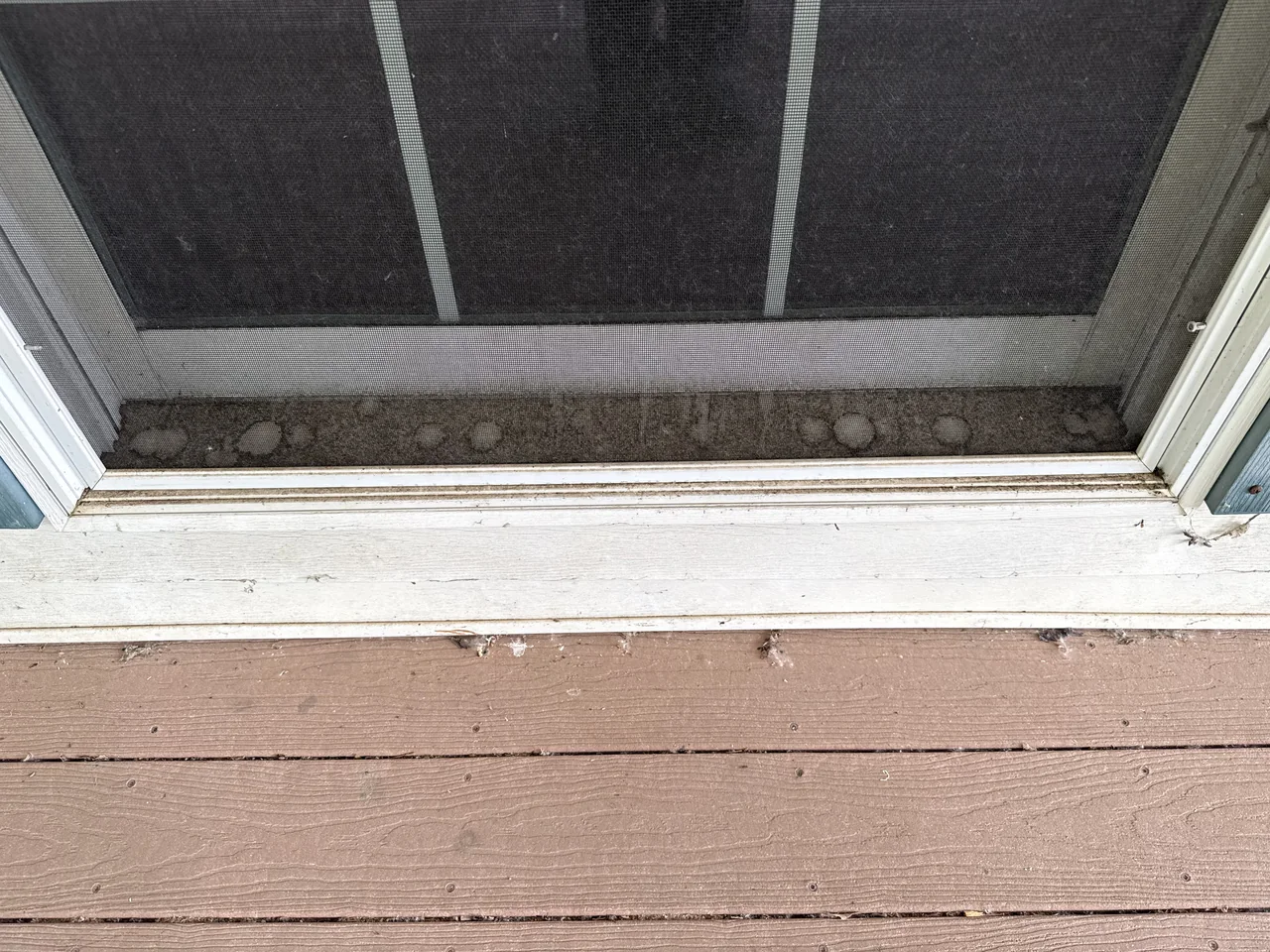 Lower screen-door frame and sill before cleaning by River City Pressure Washing