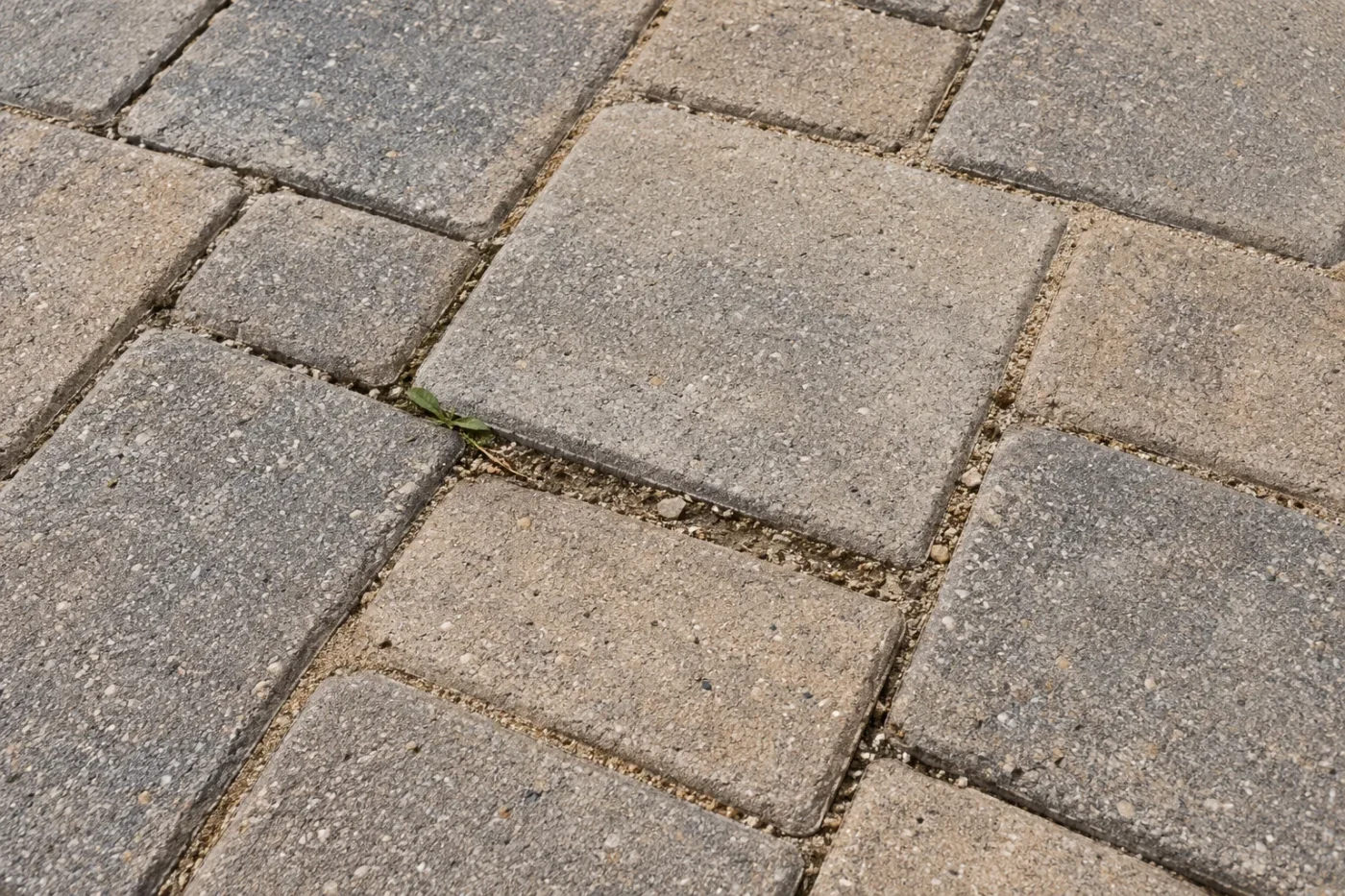Recessed joint sand, loose debris and a small weed between concrete pavers